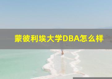 蒙彼利埃大学DBA怎么样