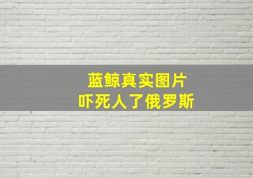 蓝鲸真实图片吓死人了俄罗斯