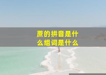 蔗的拼音是什么组词是什么