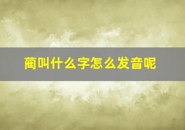 蔺叫什么字怎么发音呢