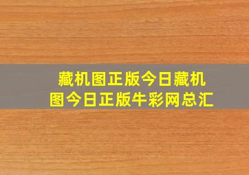 藏机图正版今日藏机图今日正版牛彩网总汇