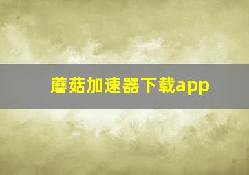 蘑菇加速器下载app