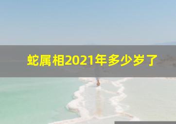 蛇属相2021年多少岁了