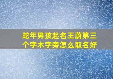 蛇年男孩起名王蔚第三个字木字旁怎么取名好