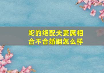 蛇的绝配夫妻属相合不合婚姻怎么样