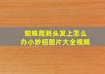 蜘蛛爬到头发上怎么办小妙招图片大全视频