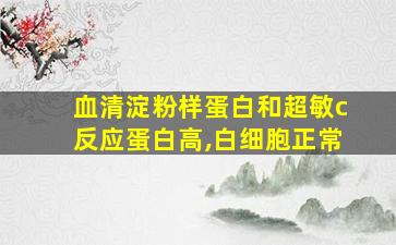 血清淀粉样蛋白和超敏c反应蛋白高,白细胞正常