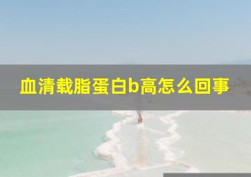 血清载脂蛋白b高怎么回事