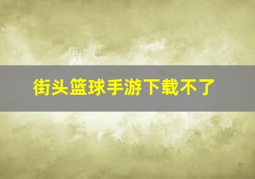 街头篮球手游下载不了