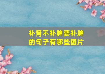 补肾不补脾要补脾的句子有哪些图片