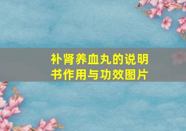 补肾养血丸的说明书作用与功效图片