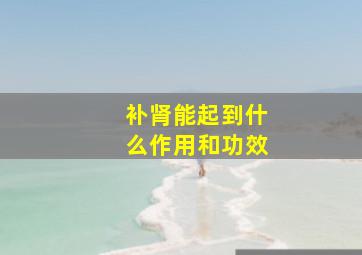 补肾能起到什么作用和功效