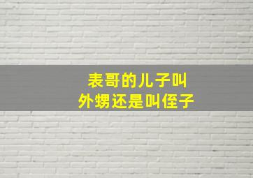 表哥的儿子叫外甥还是叫侄子