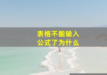 表格不能输入公式了为什么