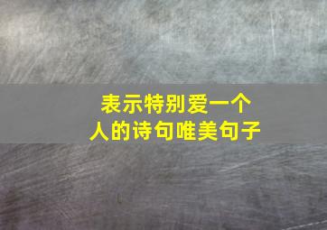 表示特别爱一个人的诗句唯美句子