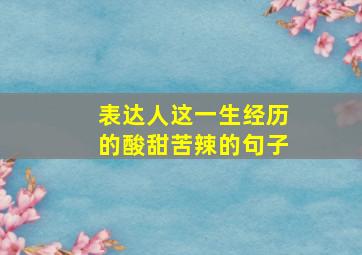 表达人这一生经历的酸甜苦辣的句子