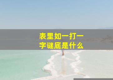 表里如一打一字谜底是什么