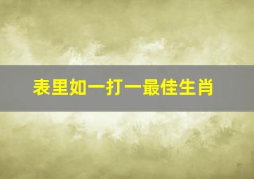 表里如一打一最佳生肖