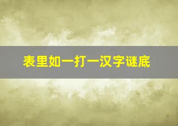 表里如一打一汉字谜底