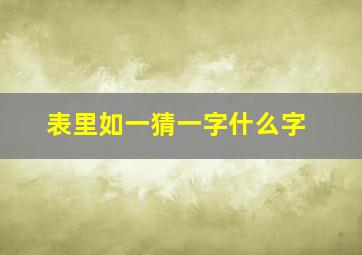 表里如一猜一字什么字