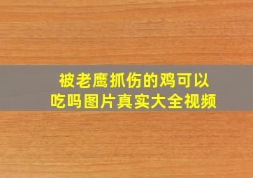 被老鹰抓伤的鸡可以吃吗图片真实大全视频