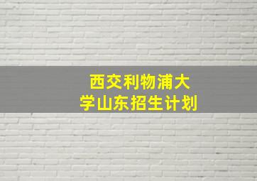 西交利物浦大学山东招生计划