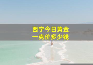 西宁今日黄金一克价多少钱