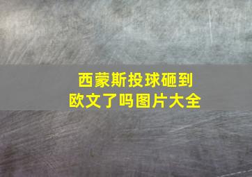 西蒙斯投球砸到欧文了吗图片大全