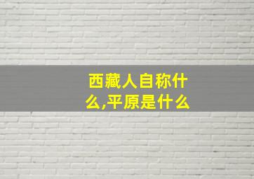 西藏人自称什么,平原是什么