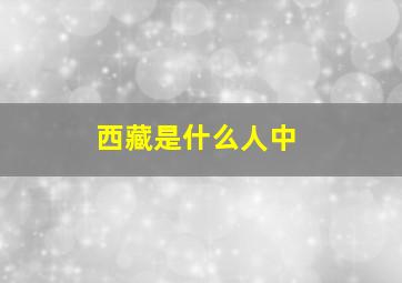 西藏是什么人中