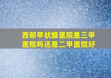 西部甲状腺医院是三甲医院吗还是二甲医院好