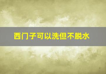 西门子可以洗但不脱水