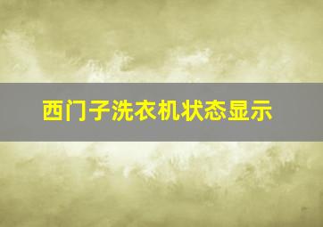 西门子洗衣机状态显示