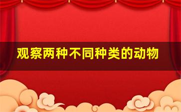 观察两种不同种类的动物