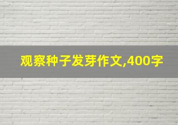 观察种子发芽作文,400字