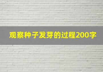 观察种子发芽的过程200字