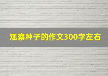 观察种子的作文300字左右