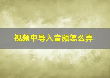 视频中导入音频怎么弄