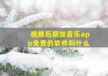 视频后期加音乐app免费的软件叫什么