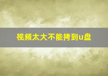 视频太大不能拷到u盘