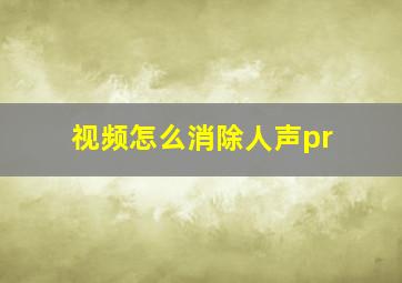 视频怎么消除人声pr