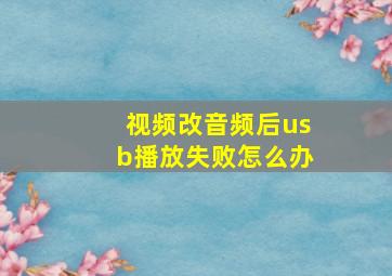 视频改音频后usb播放失败怎么办