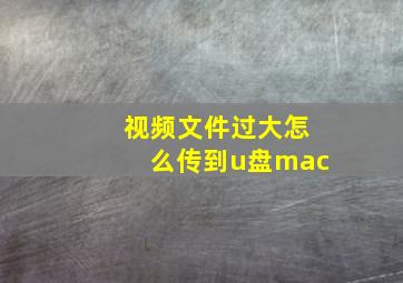 视频文件过大怎么传到u盘mac