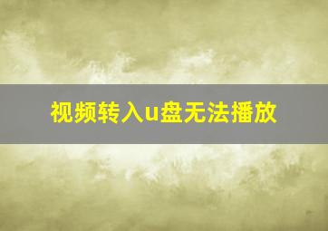 视频转入u盘无法播放