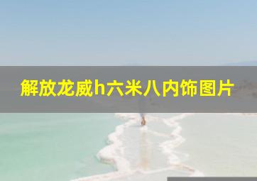 解放龙威h六米八内饰图片