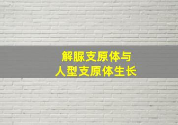 解脲支原体与人型支原体生长