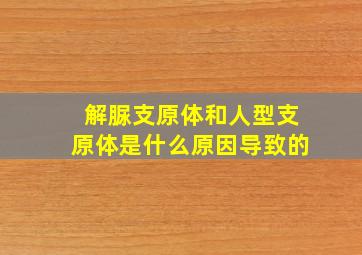 解脲支原体和人型支原体是什么原因导致的