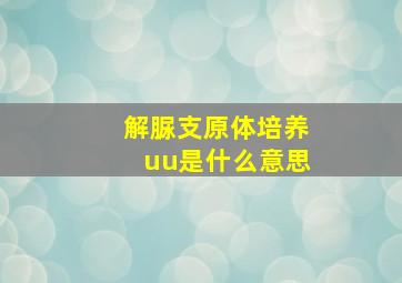 解脲支原体培养uu是什么意思