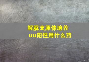 解脲支原体培养uu阳性用什么药