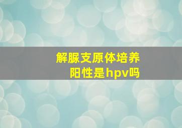 解脲支原体培养阳性是hpv吗